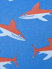 Подробное изображение