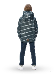 Подробное изображение