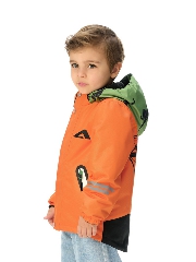 Подробное изображение