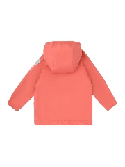 Подробное изображение