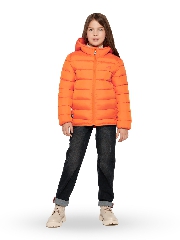 Подробное изображение