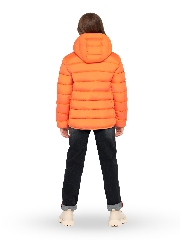 Подробное изображение