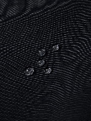 Подробное изображение