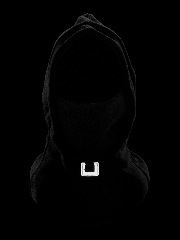 Подробное изображение