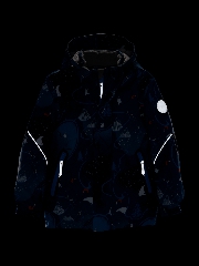 Подробное изображение