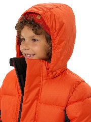 Подробное изображение