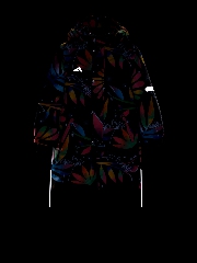 Подробное изображение