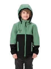 зеленый черный