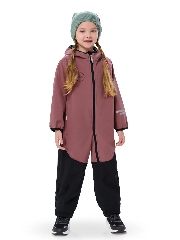 чайная роза