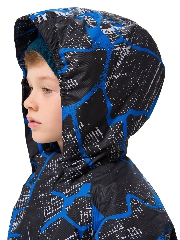 Подробное изображение