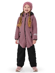 чайная роза