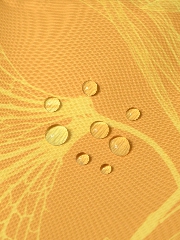 Подробное изображение