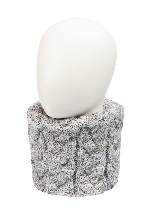 Подробное изображение