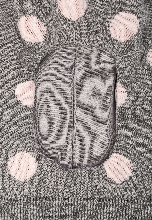 Подробное изображение