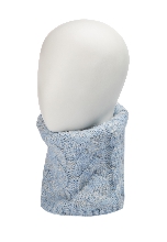 Подробное изображение