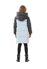 Подробное изображение