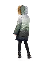 Подробное изображение