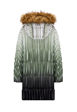 Подробное изображение