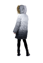 Подробное изображение