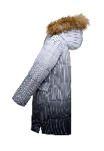 Подробное изображение