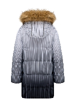 Подробное изображение