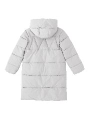 Подробное изображение