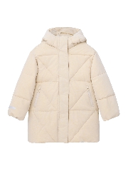 Подробное изображение