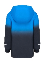 Подробное изображение