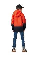 Подробное изображение