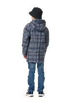 Подробное изображение