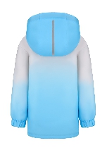 Подробное изображение