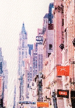 Подробное изображение