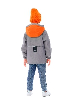 Подробное изображение