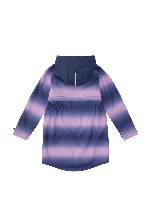 Подробное изображение