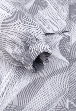 Подробное изображение