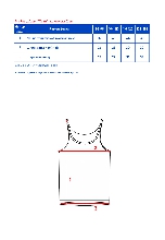 Таблица размеров одежды