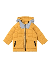 Подробное изображение