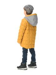 Подробное изображение