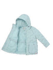 Подробное изображение