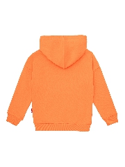 Подробное изображение