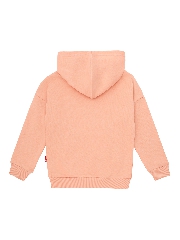 Подробное изображение