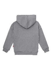 Подробное изображение