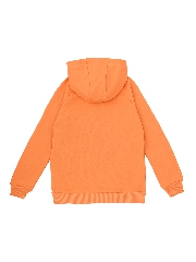 Подробное изображение