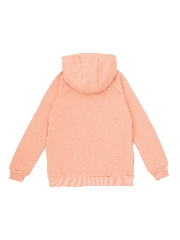 Подробное изображение