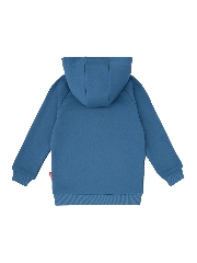 Подробное изображение