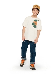 Подробное изображение