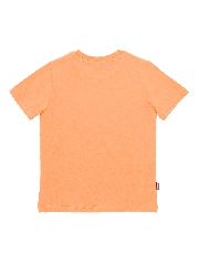 Подробное изображение