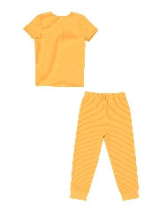 Подробное изображение