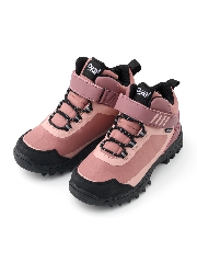 чайная роза