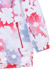 Подробное изображение